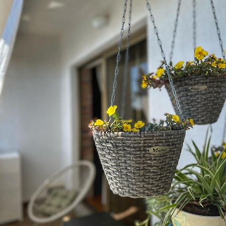 Apartmani Mia Palit المظهر الخارجي الصورة