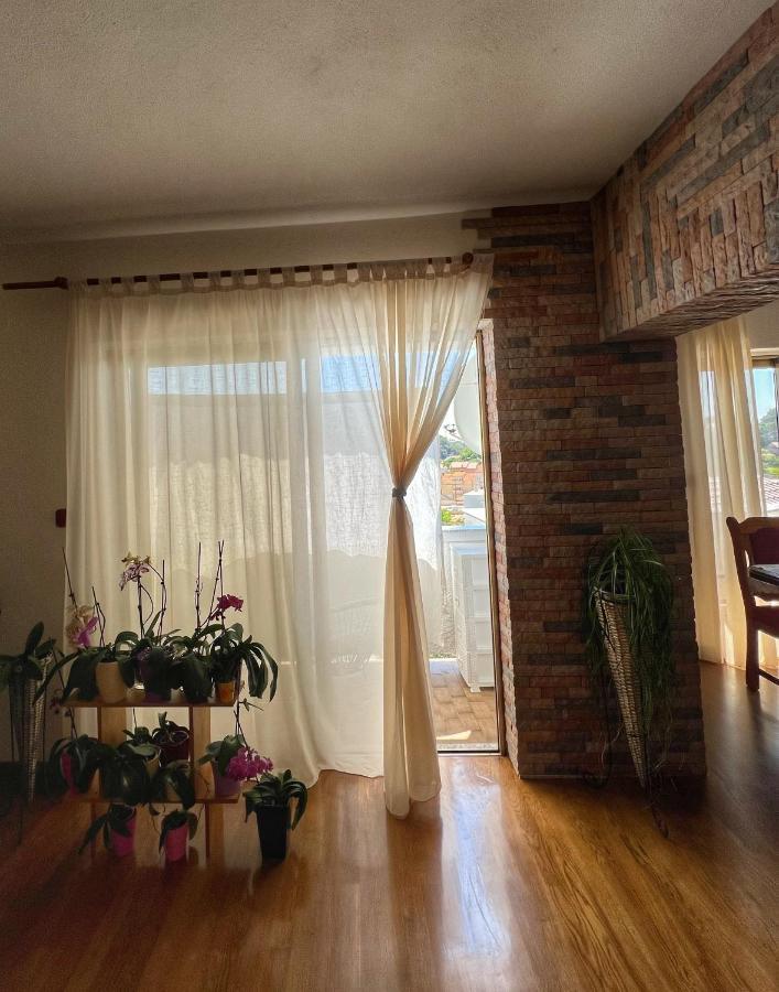 Apartmani Mia Palit المظهر الخارجي الصورة